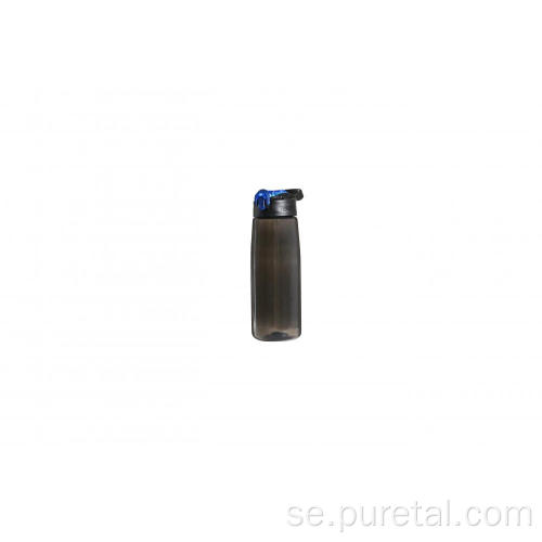BPA gratis integrerat filter halmvattenfilterflaska